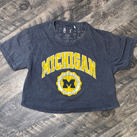 Tops - University of Michigan Navy Blue Graphic Cropped Tee by Pro Club. Large
